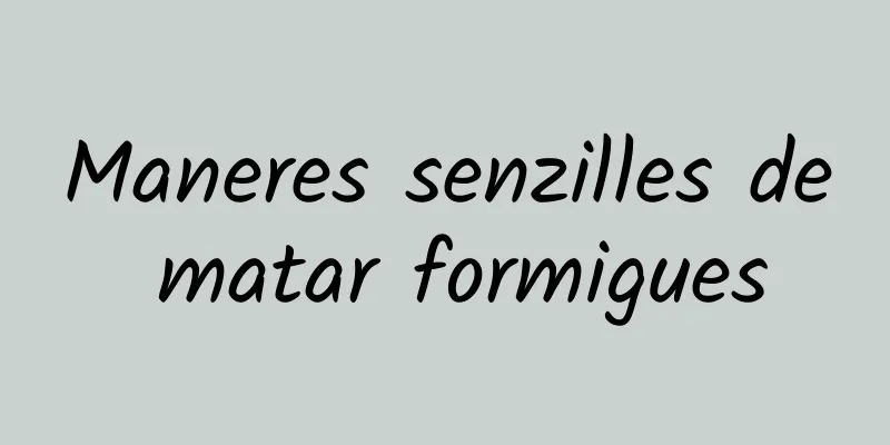 Maneres senzilles de matar formigues