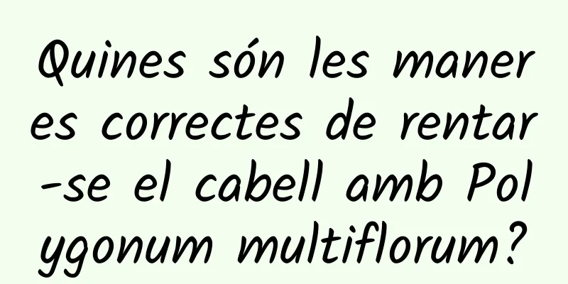 Quines són les maneres correctes de rentar-se el cabell amb Polygonum multiflorum?