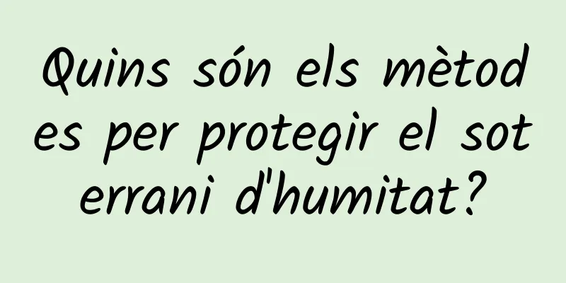 Quins són els mètodes per protegir el soterrani d'humitat?