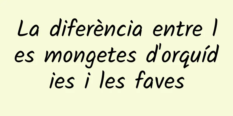 La diferència entre les mongetes d'orquídies i les faves