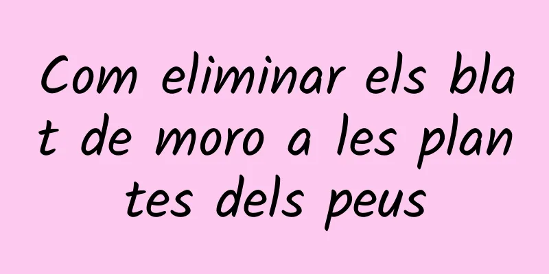 Com eliminar els blat de moro a les plantes dels peus