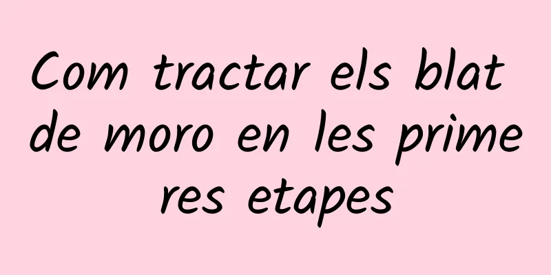 Com tractar els blat de moro en les primeres etapes
