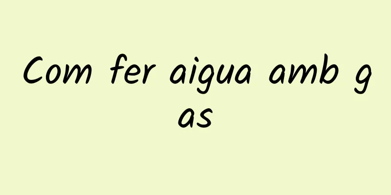 Com fer aigua amb gas