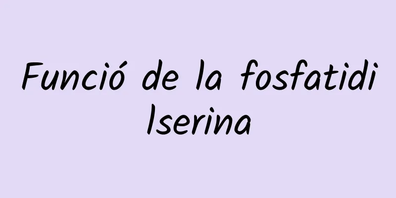 Funció de la fosfatidilserina