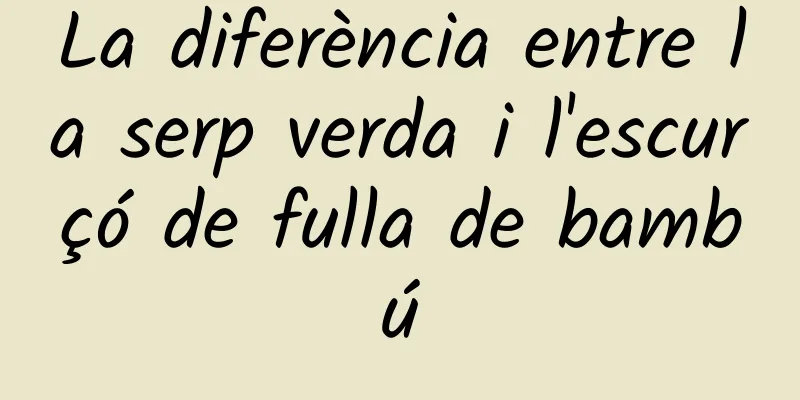 La diferència entre la serp verda i l'escurçó de fulla de bambú