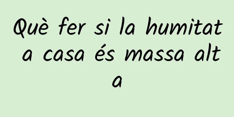 Què fer si la humitat a casa és massa alta