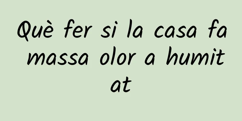 Què fer si la casa fa massa olor a humitat