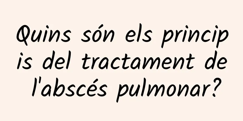 Quins són els principis del tractament de l'abscés pulmonar?