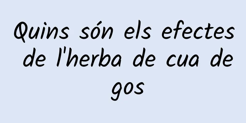 Quins són els efectes de l'herba de cua de gos