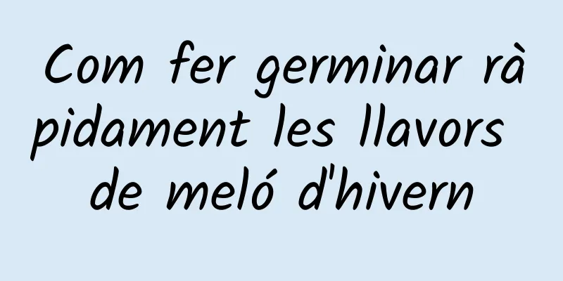 Com fer germinar ràpidament les llavors de meló d'hivern