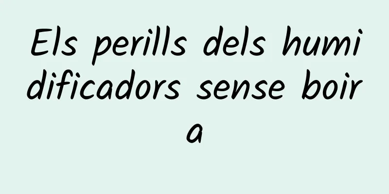 Els perills dels humidificadors sense boira