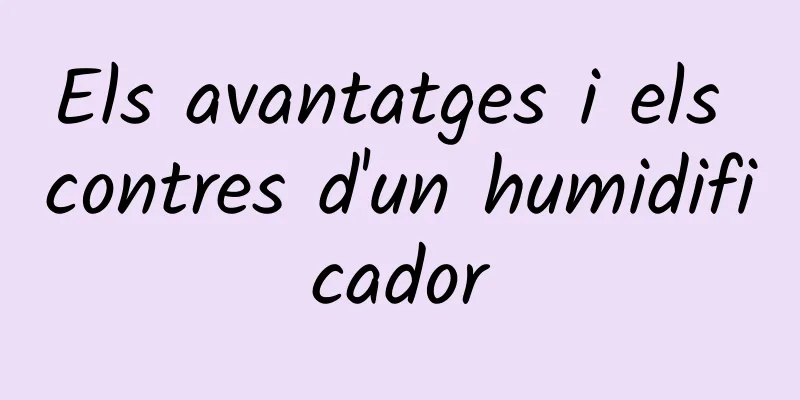 Els avantatges i els contres d'un humidificador