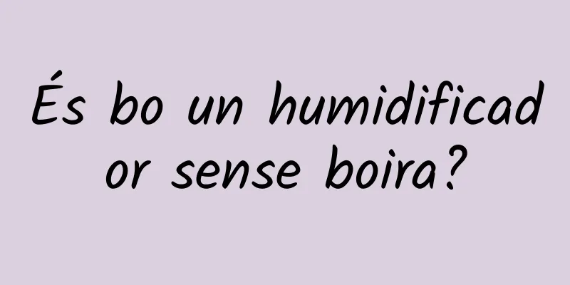 És bo un humidificador sense boira?