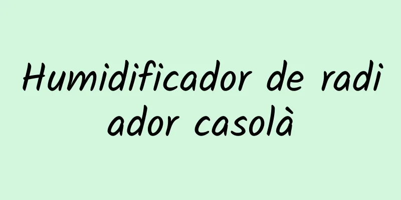 Humidificador de radiador casolà