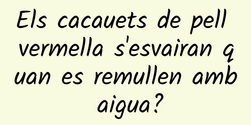 Els cacauets de pell vermella s'esvairan quan es remullen amb aigua?