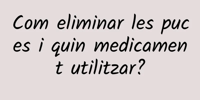 Com eliminar les puces i quin medicament utilitzar?