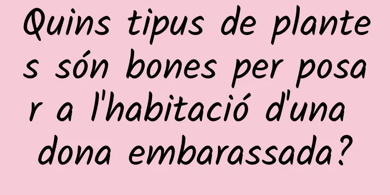 Quins tipus de plantes són bones per posar a l'habitació d'una dona embarassada?