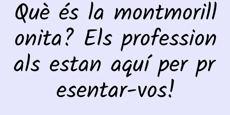 Què és la montmorillonita? Els professionals estan aquí per presentar-vos!