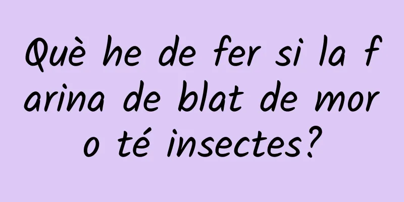 Què he de fer si la farina de blat de moro té insectes?