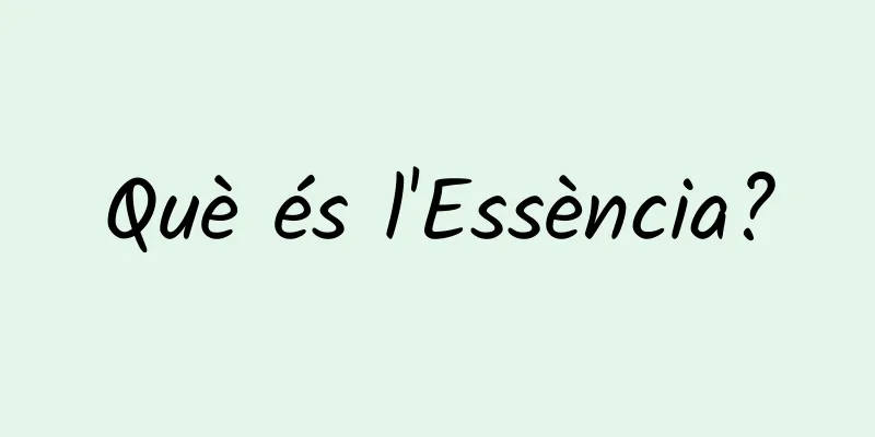 Què és l'Essència?