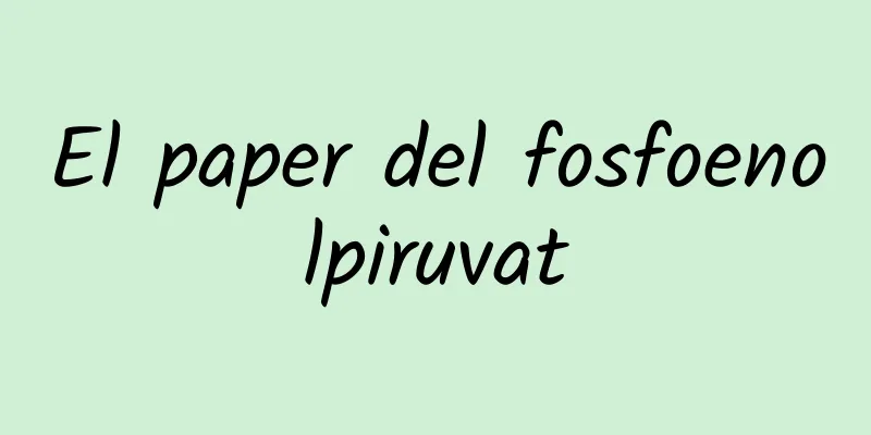 El paper del fosfoenolpiruvat
