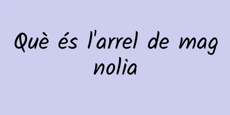 Què és l'arrel de magnolia