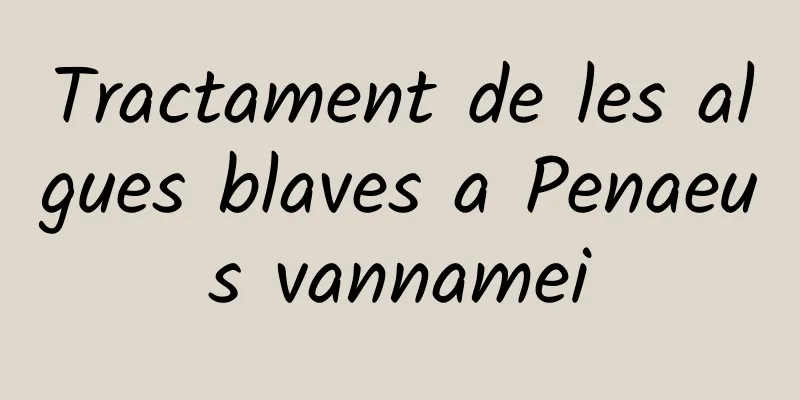 Tractament de les algues blaves a Penaeus vannamei