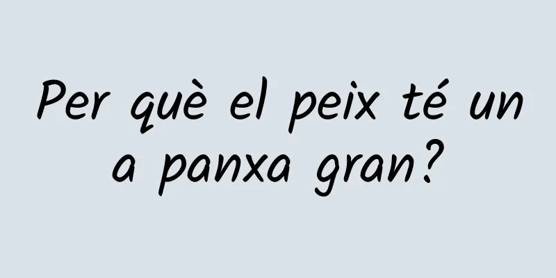 Per què el peix té una panxa gran?