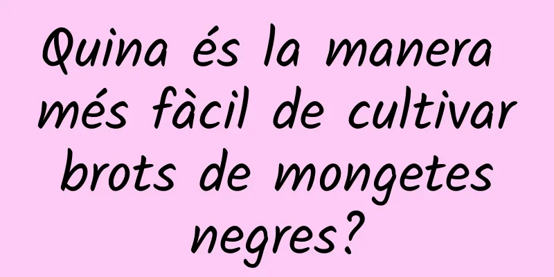 Quina és la manera més fàcil de cultivar brots de mongetes negres?