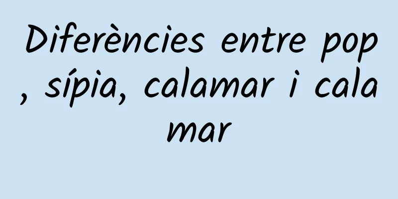 Diferències entre pop, sípia, calamar i calamar