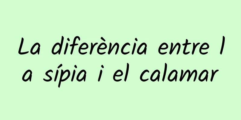 La diferència entre la sípia i el calamar