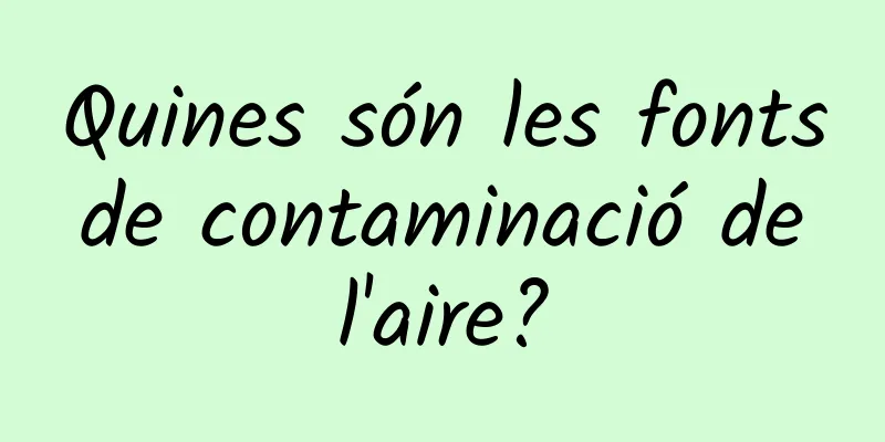 Quines són les fonts de contaminació de l'aire?