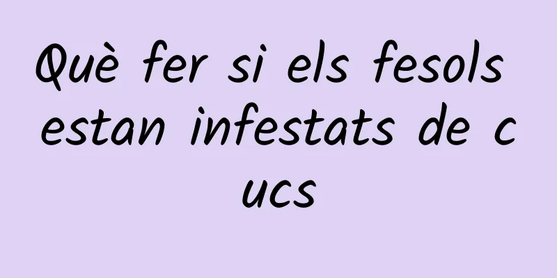 Què fer si els fesols estan infestats de cucs