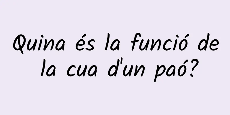 Quina és la funció de la cua d'un paó?