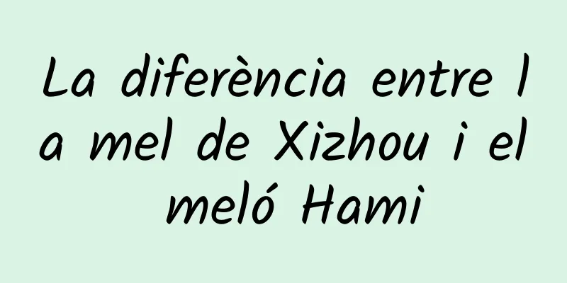 La diferència entre la mel de Xizhou i el meló Hami