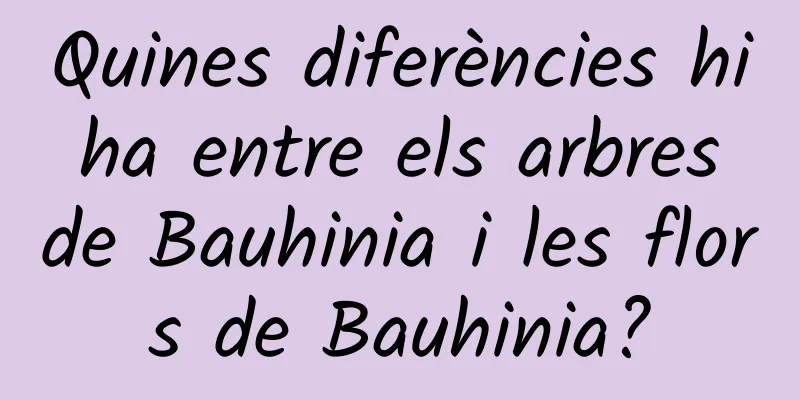 Quines diferències hi ha entre els arbres de Bauhinia i les flors de Bauhinia?