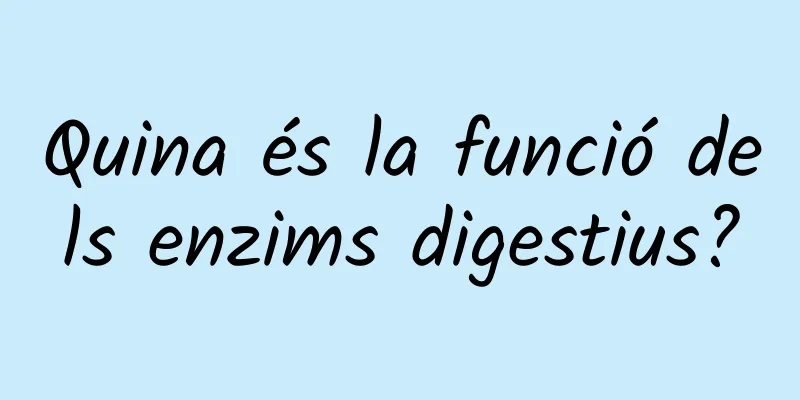 Quina és la funció dels enzims digestius?