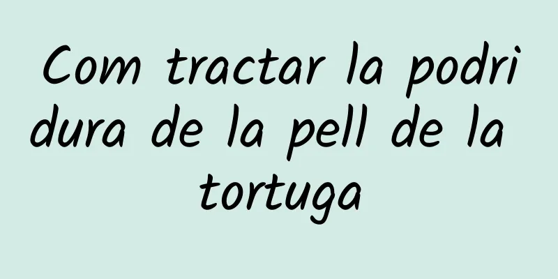 Com tractar la podridura de la pell de la tortuga