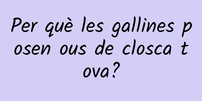 Per què les gallines posen ous de closca tova?