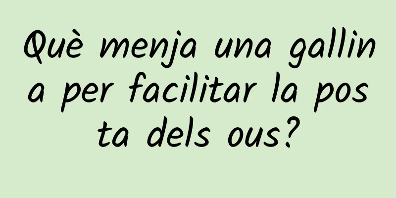 Què menja una gallina per facilitar la posta dels ous?