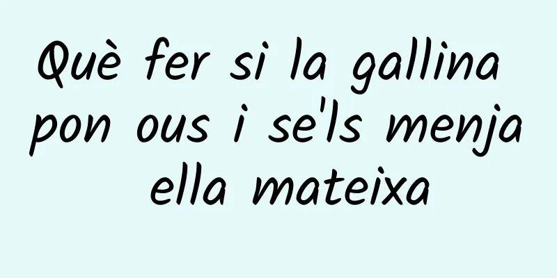 Què fer si la gallina pon ous i se'ls menja ella mateixa