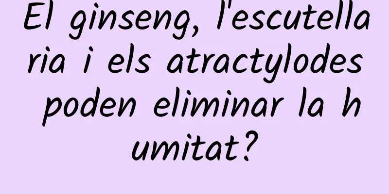 El ginseng, l'escutellaria i els atractylodes poden eliminar la humitat?
