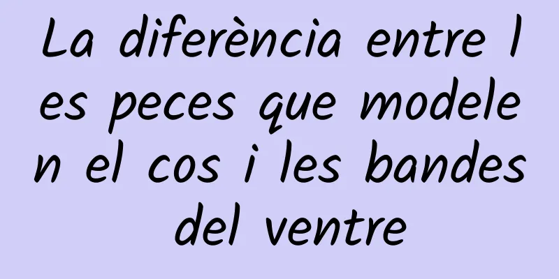 La diferència entre les peces que modelen el cos i les bandes del ventre