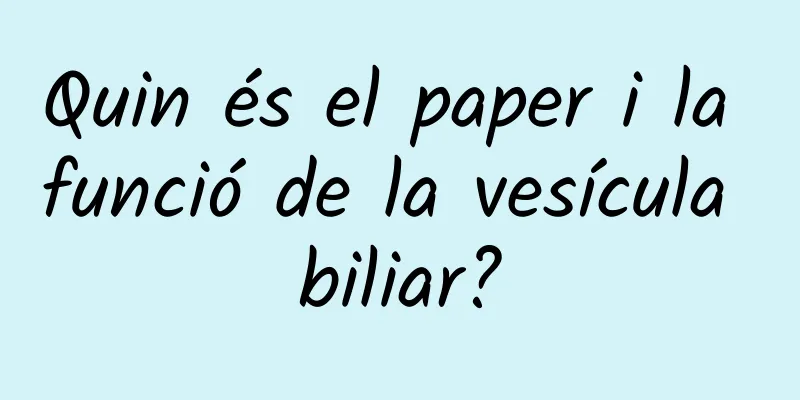 Quin és el paper i la funció de la vesícula biliar?