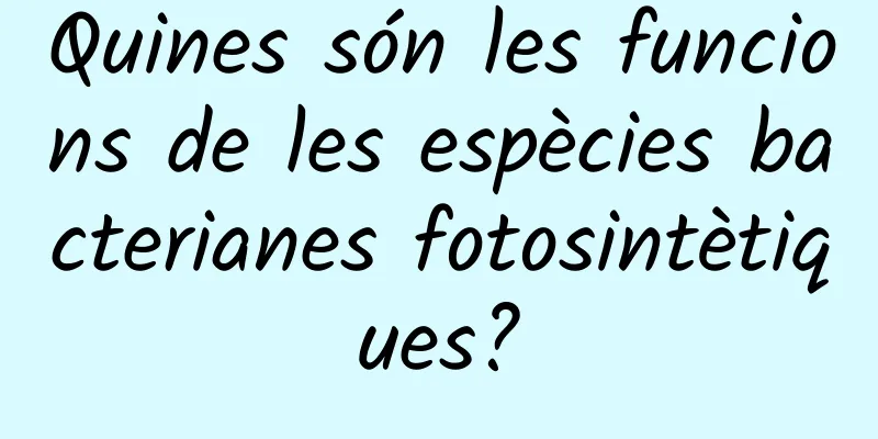Quines són les funcions de les espècies bacterianes fotosintètiques?