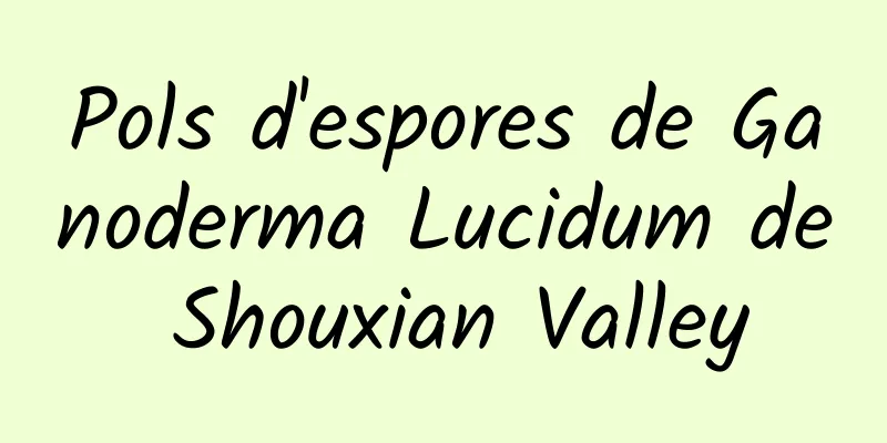 Pols d'espores de Ganoderma Lucidum de Shouxian Valley