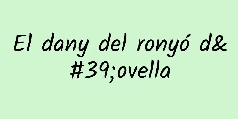 El dany del ronyó d'ovella