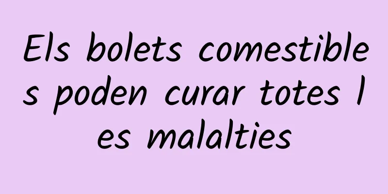 Els bolets comestibles poden curar totes les malalties