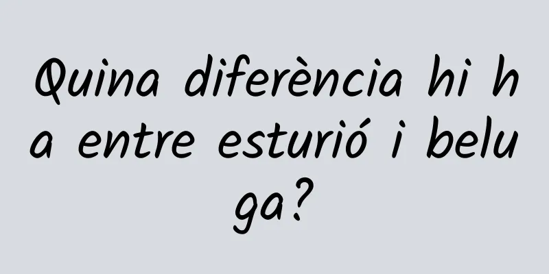 Quina diferència hi ha entre esturió i beluga?