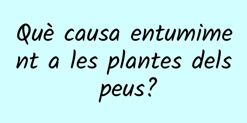 Què causa entumiment a les plantes dels peus?